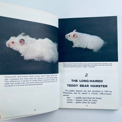 Teddy Bear Hamsters