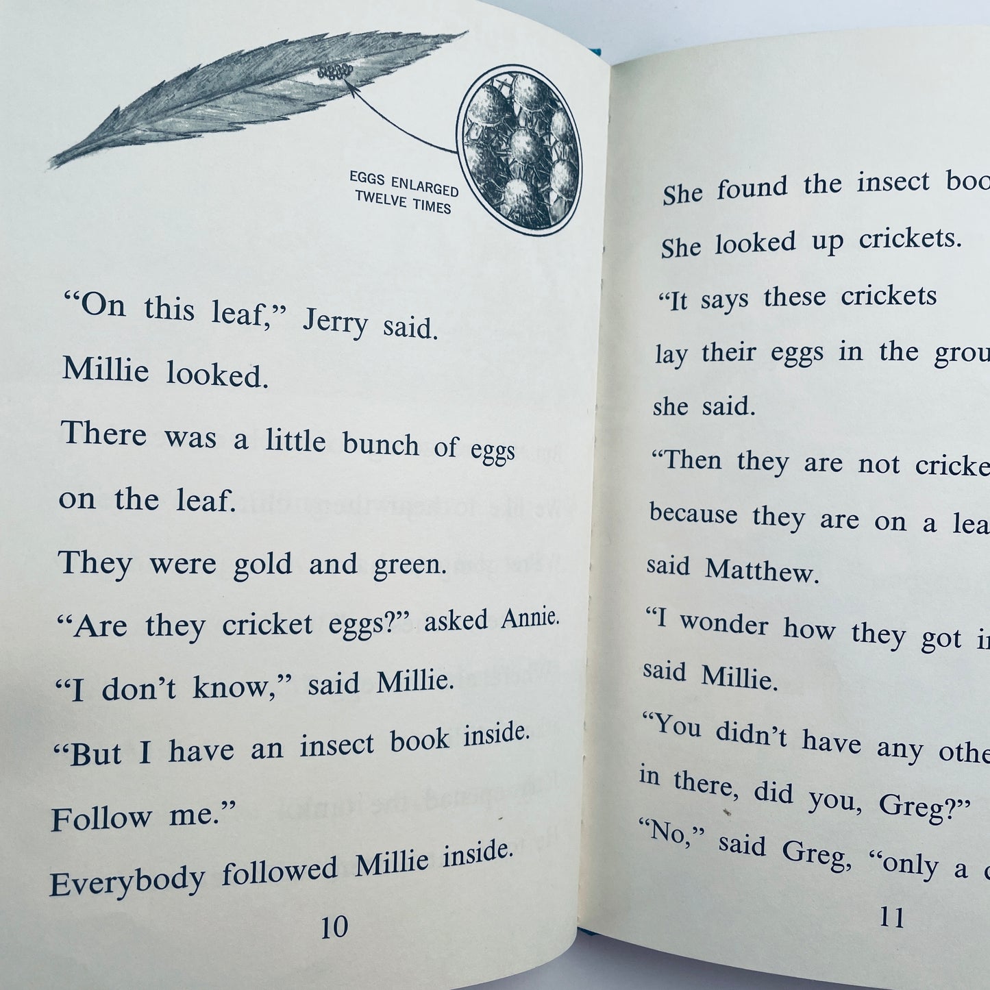 The Bug That Laid the Golden Eggs