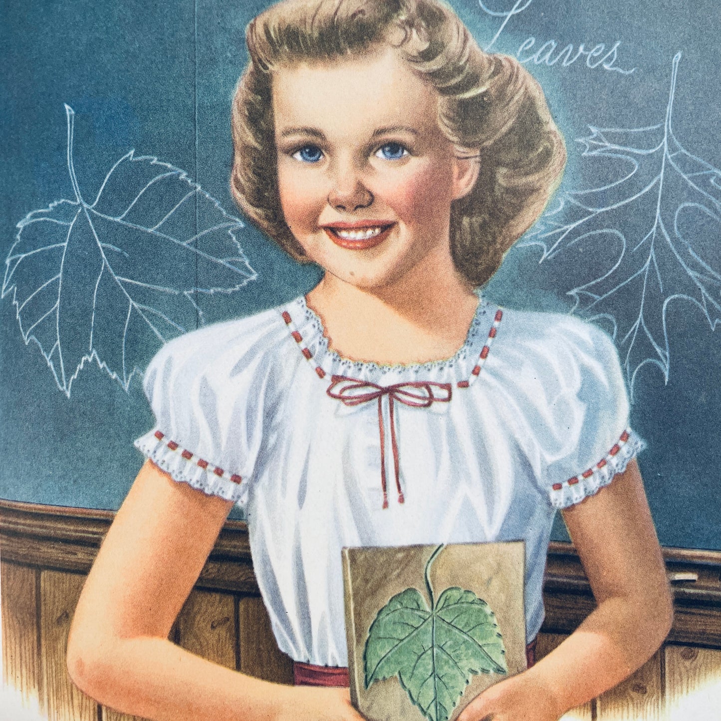 Leaves
