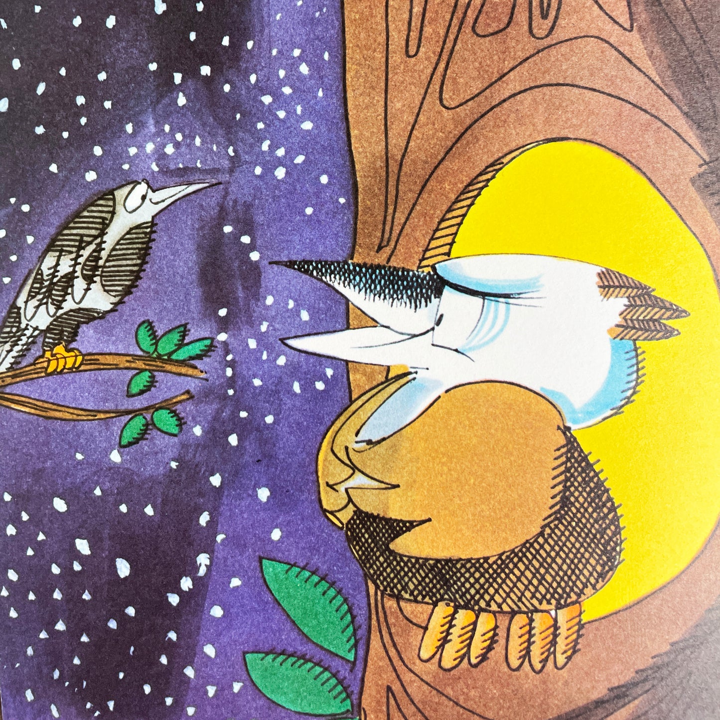 Kookaburra: A Bird of Many Parts