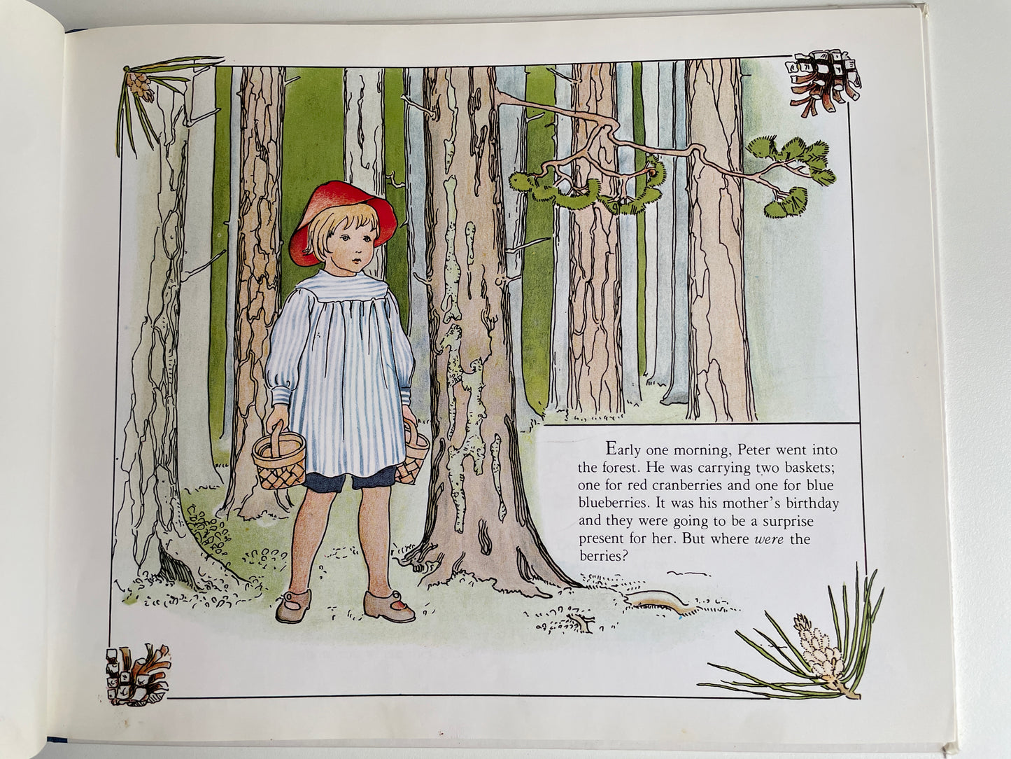 Peter in Blueberry Land