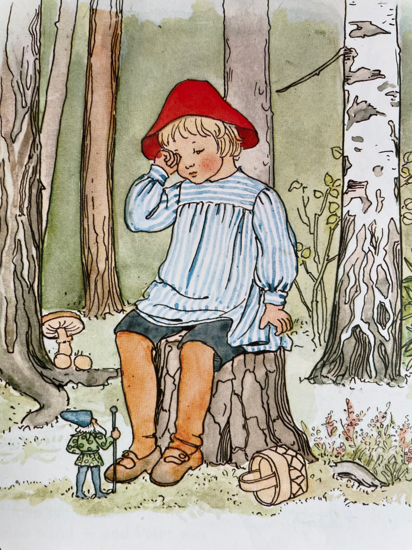Peter in Blueberry Land