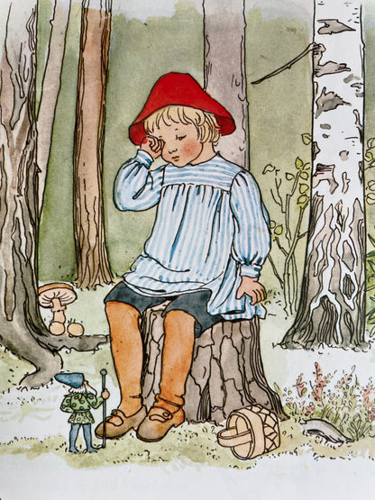 Peter in Blueberry Land