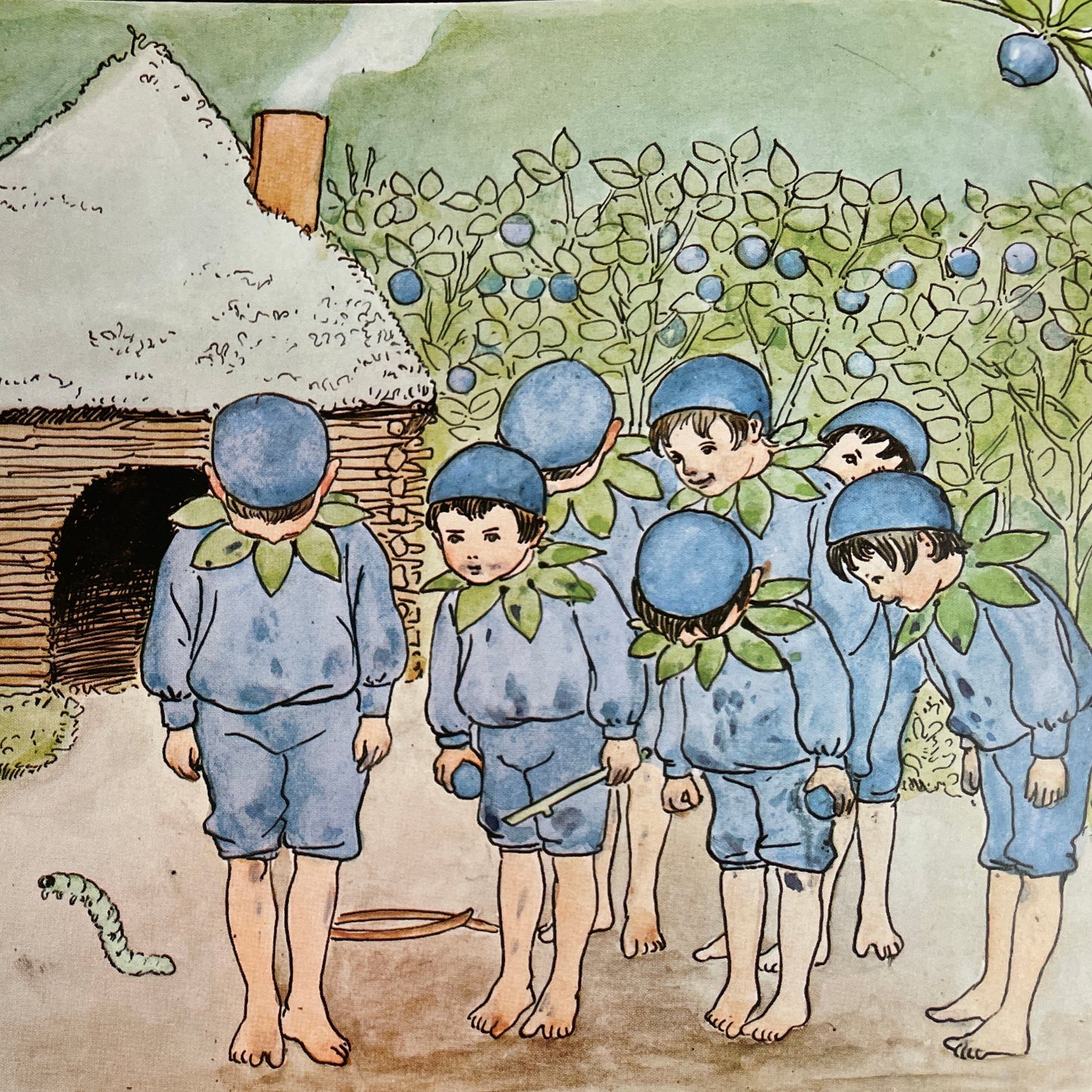Peter in Blueberry Land