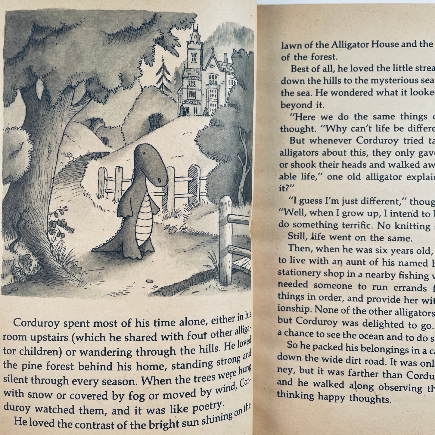 The Alligator and His Uncle Tooth: A Novel of the Sea