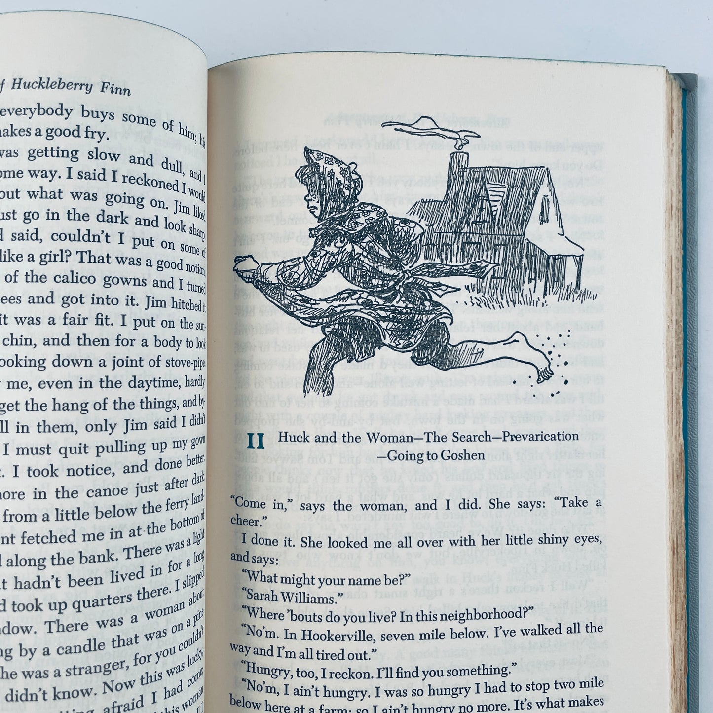 Adventures of Huckleberry Finn