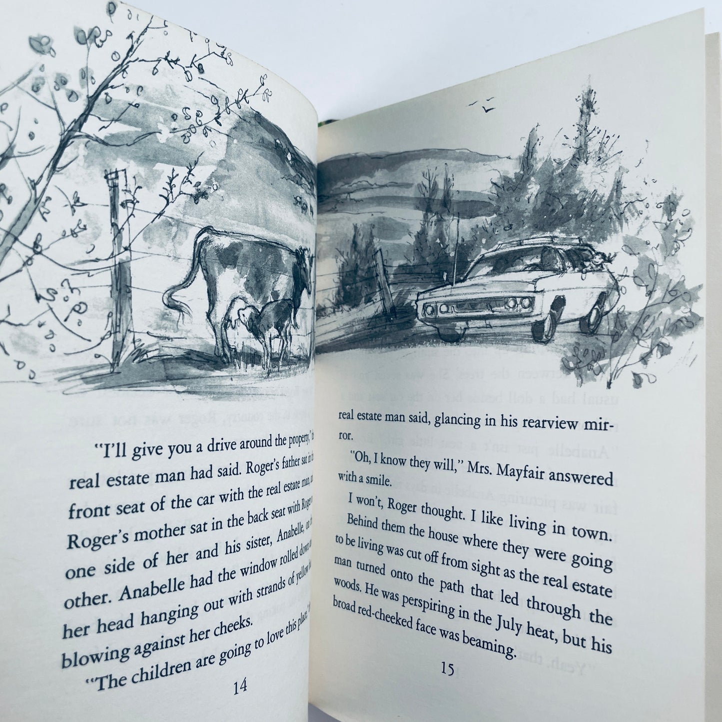 The Tree House Mystery