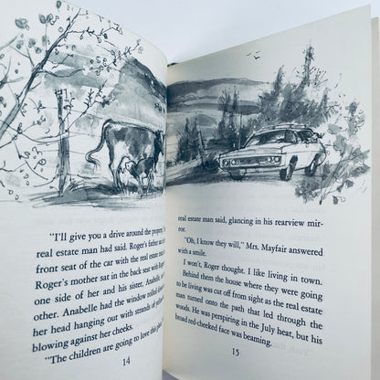 The Tree House Mystery