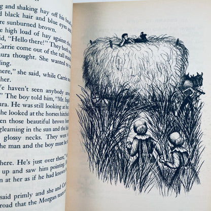 The Long Winter (Little House #6)