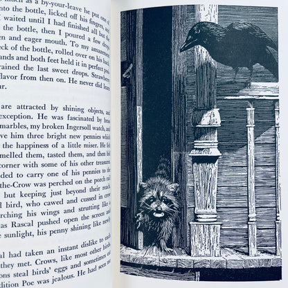 Rascal: A Memoir of a Better Era
