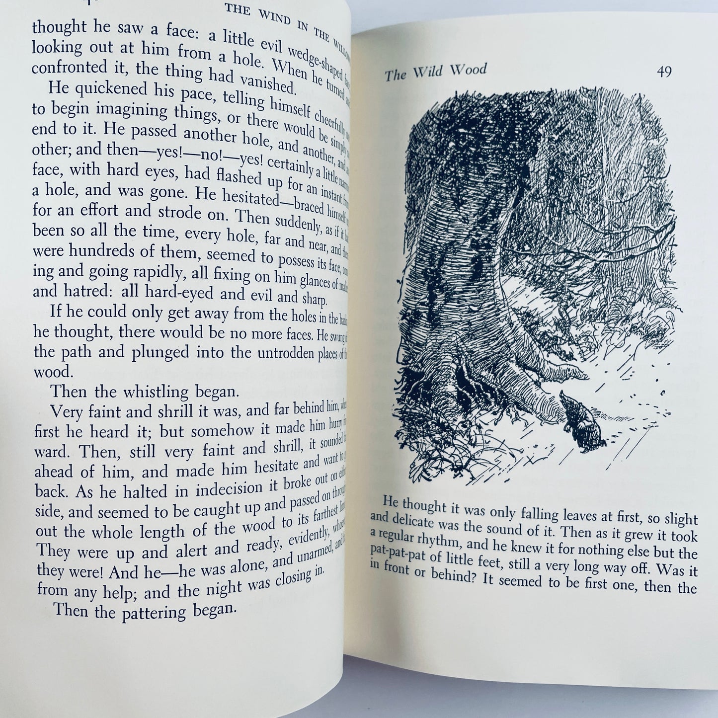 The Wind in the Willows