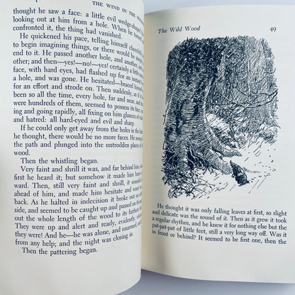 The Wind in the Willows