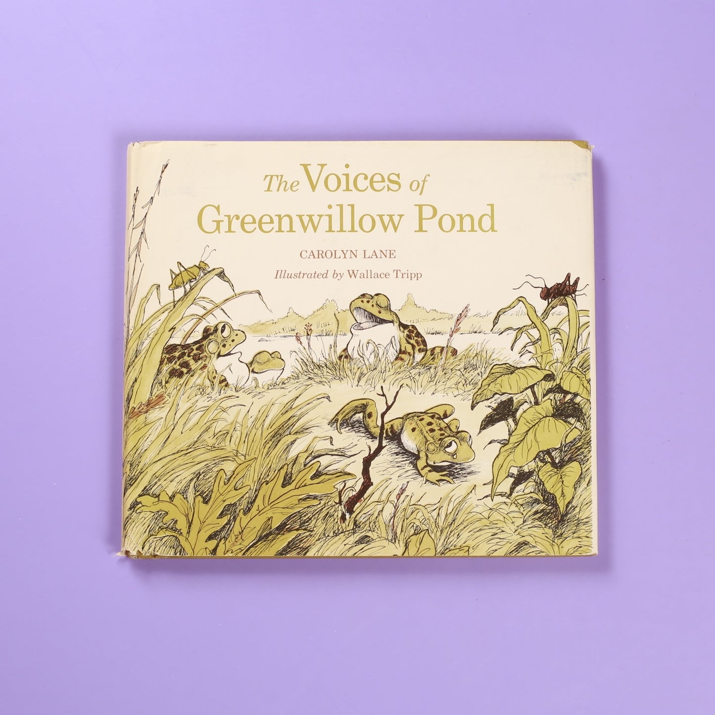 The Voices of Greenwillow Pond