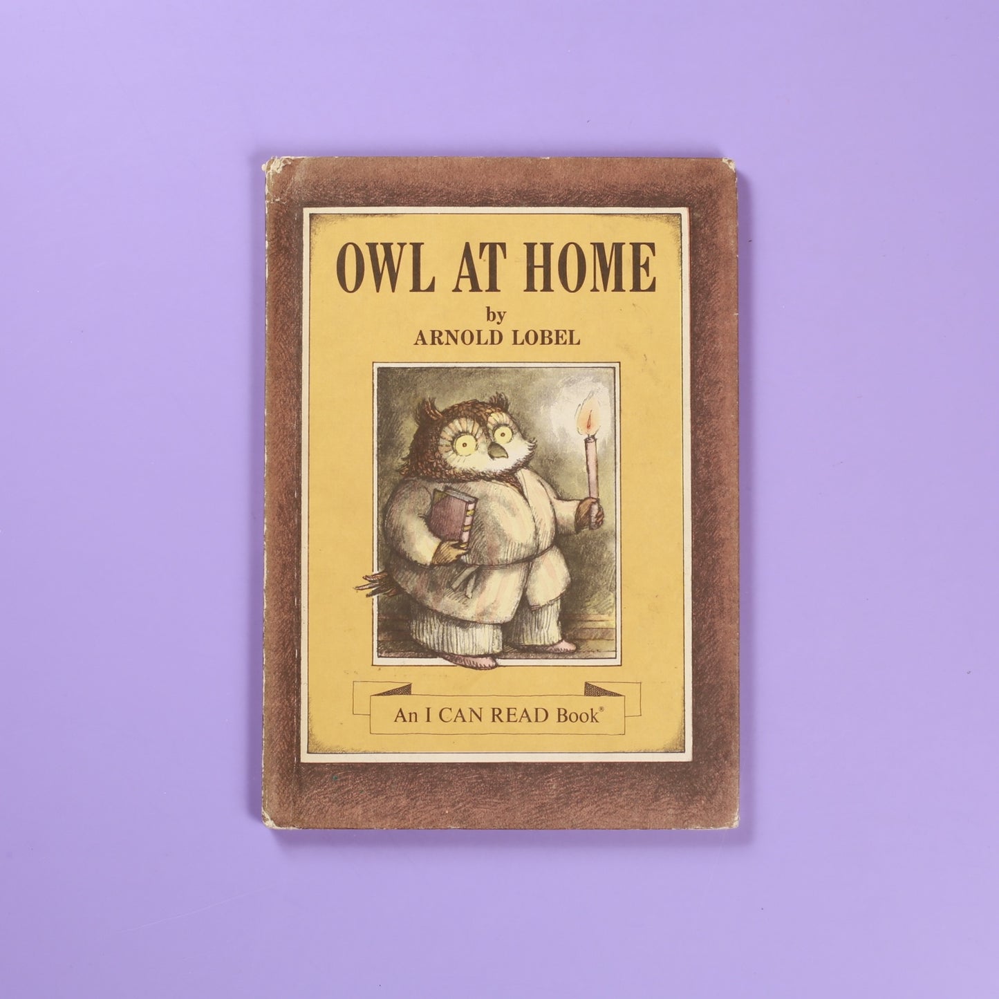 Owl at Home (An I CAN READ Book)