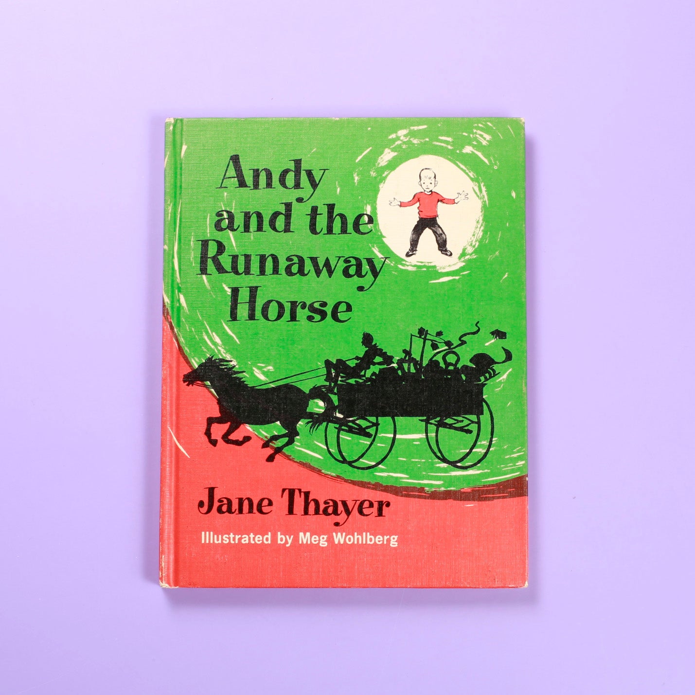 Andy and the Runaway Horse