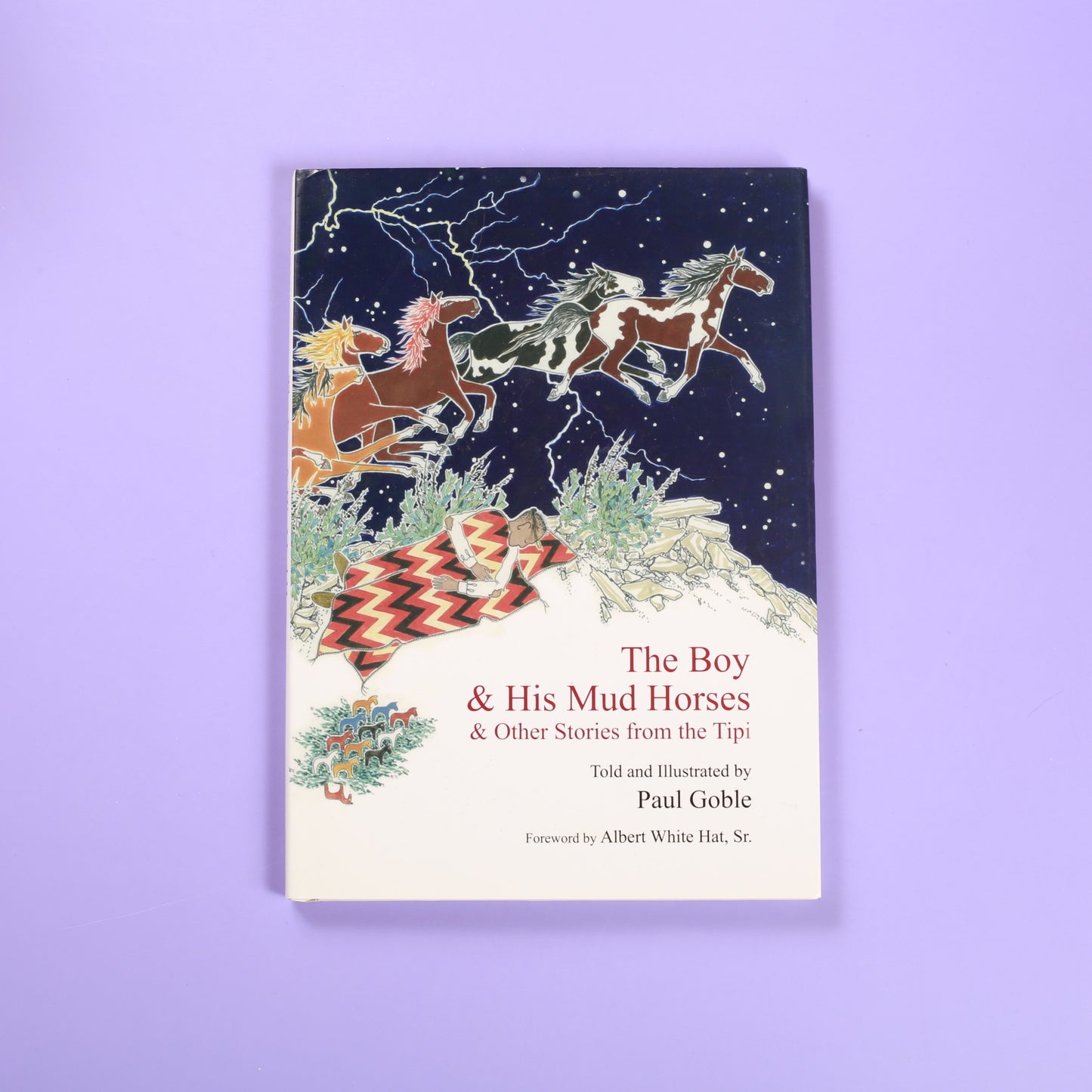 The Boy and His Mud Horses And Other Stories from the Tipi