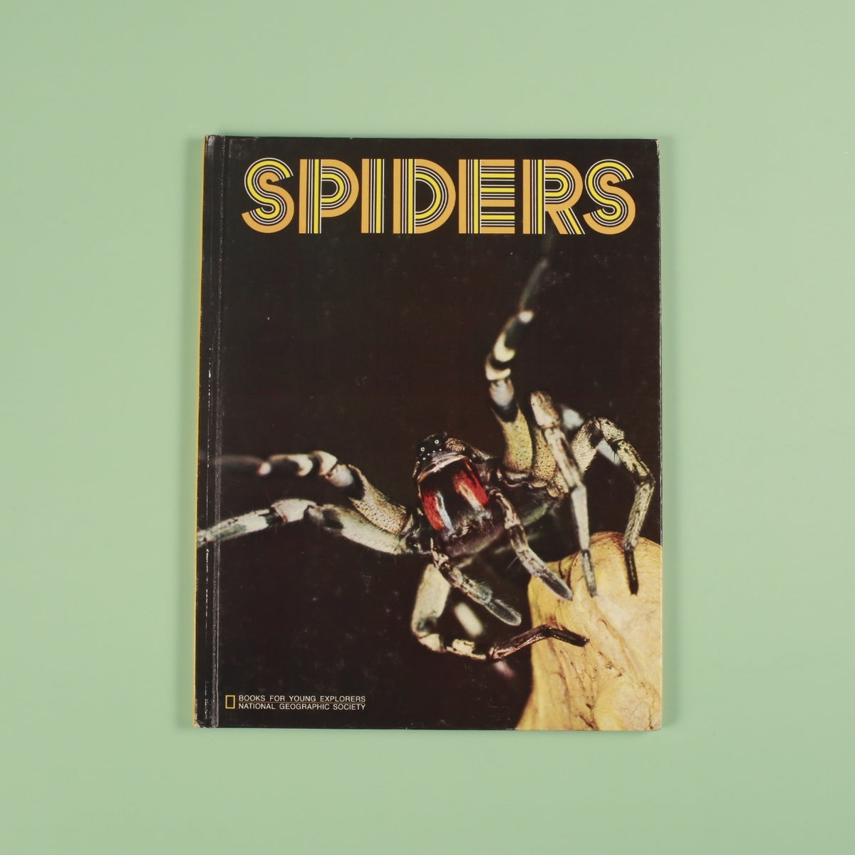 Spiders (National Geographic Books for Young Explorers)