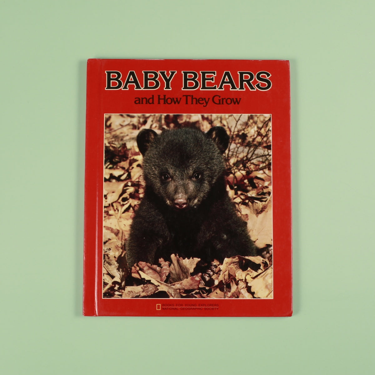 Baby Bears and How They Grow (National Geographic Books for Young Explorers)