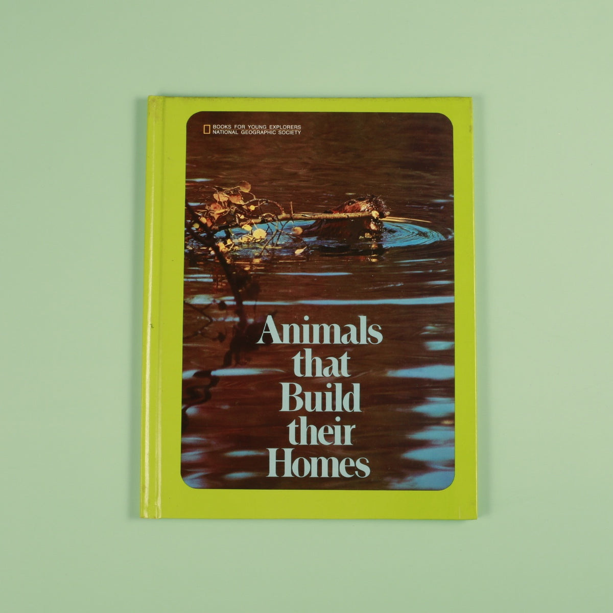 Animals That Build their Homes (National Geographic Books for Young Explorers)