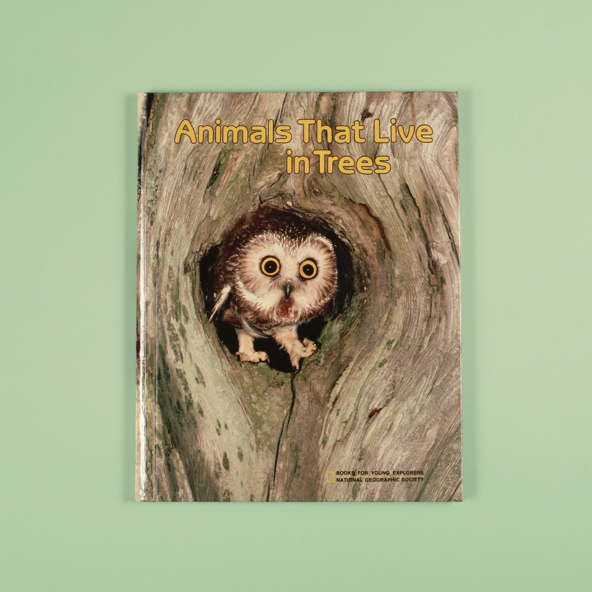 Animals That Live in Trees (National Geographic Books for Young Explorers)