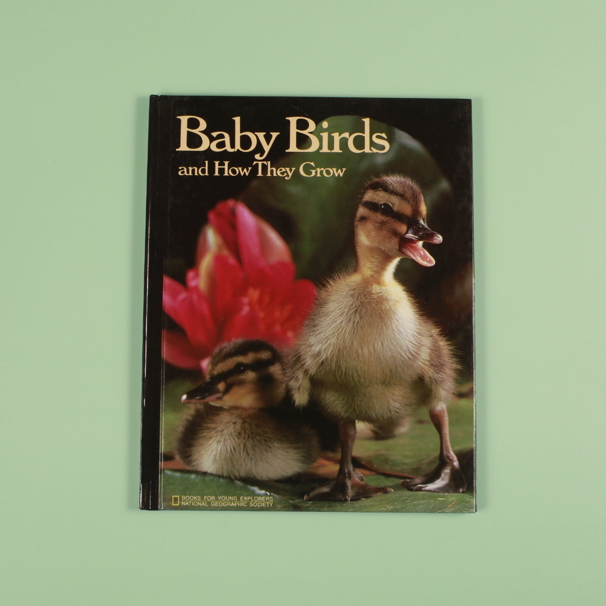Baby Birds and How They Grow (National Geographic Books for Young Explorers)