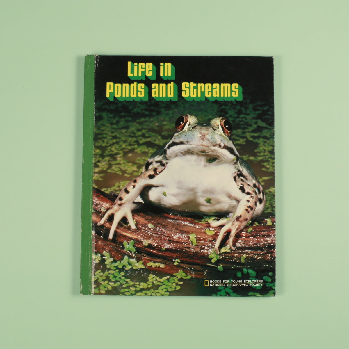 Life in Ponds and Streams (National Geographic Books for Young Explorers)