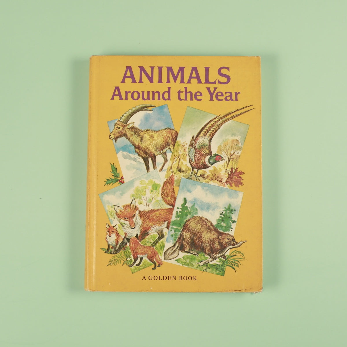 Animals Around the Year