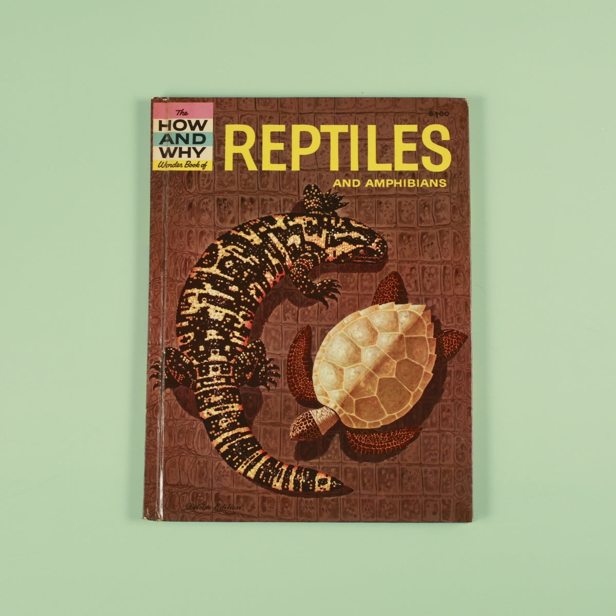 The How and Why Wonder Book of Reptiles and Amphibians