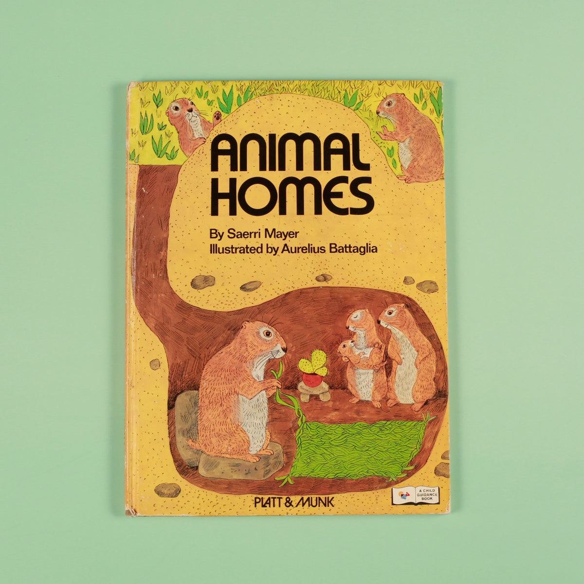 Animal Homes