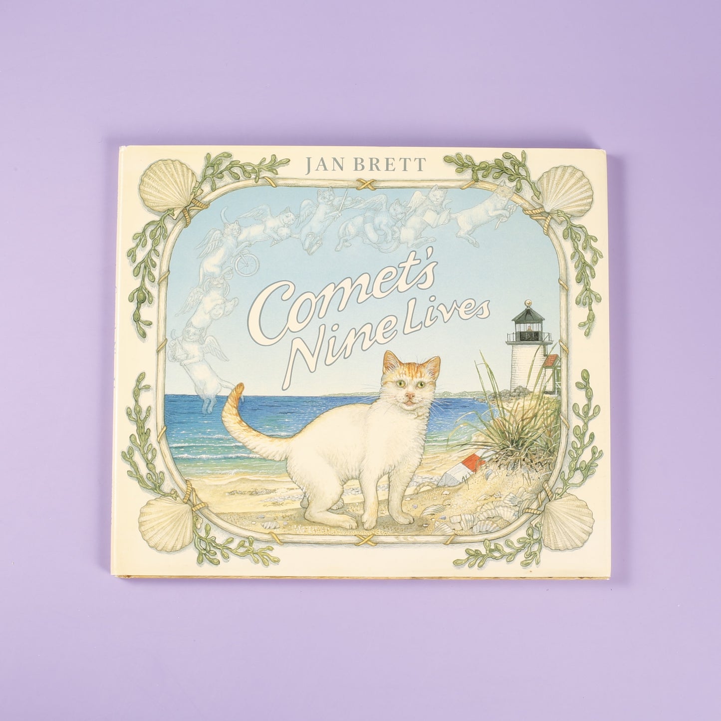 Comet's Nine Lives