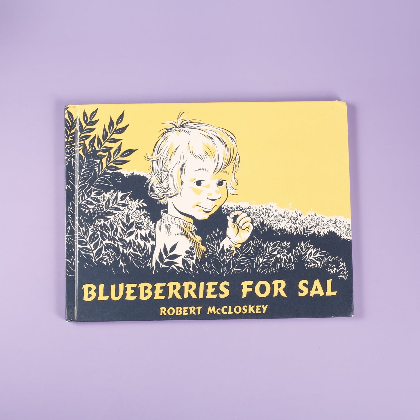 Blueberries for Sal