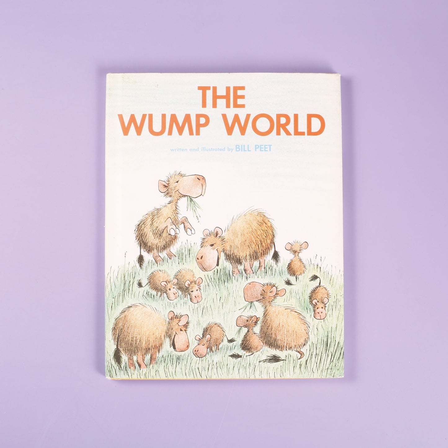 The Wump World