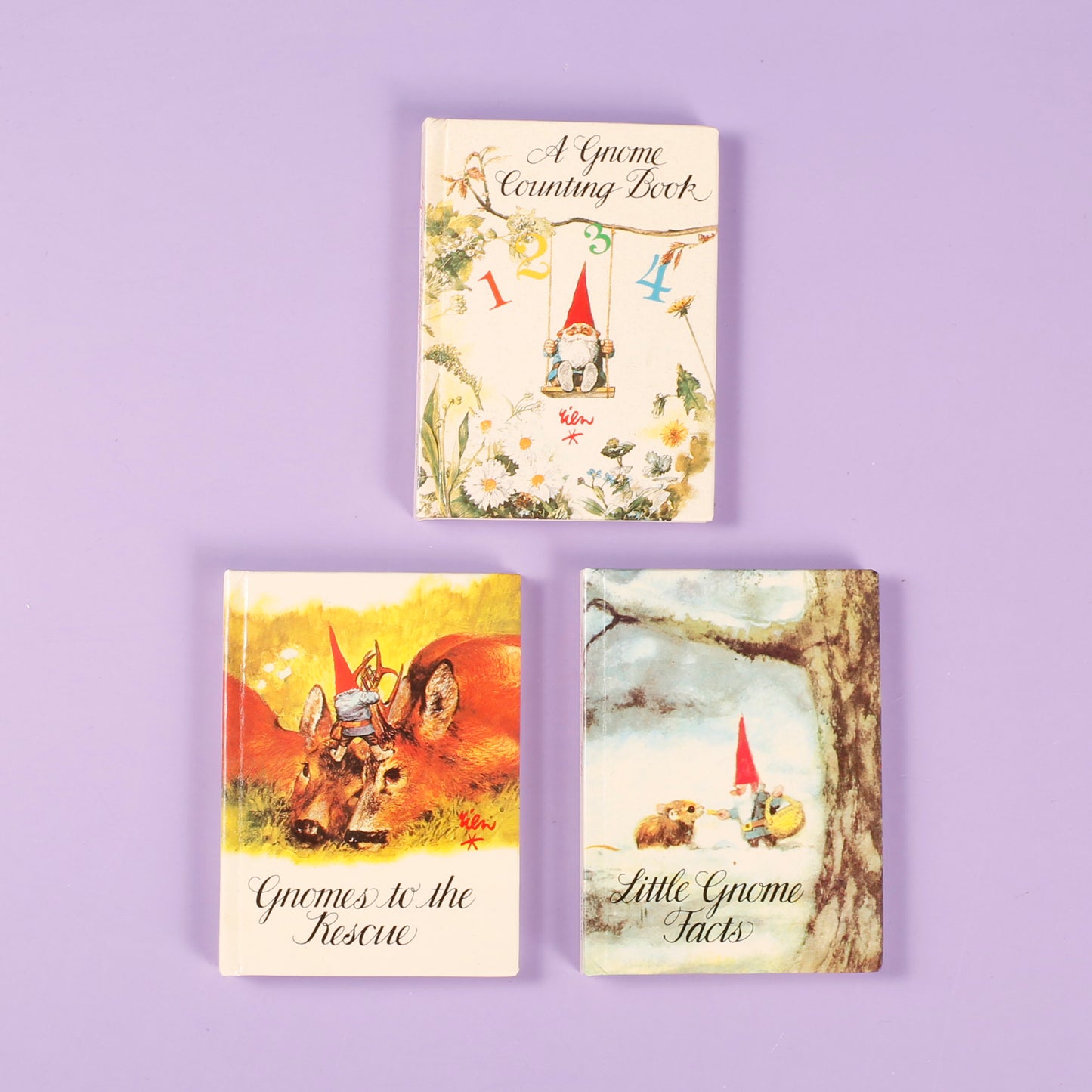 Teeny Tiny Gnome Tomes