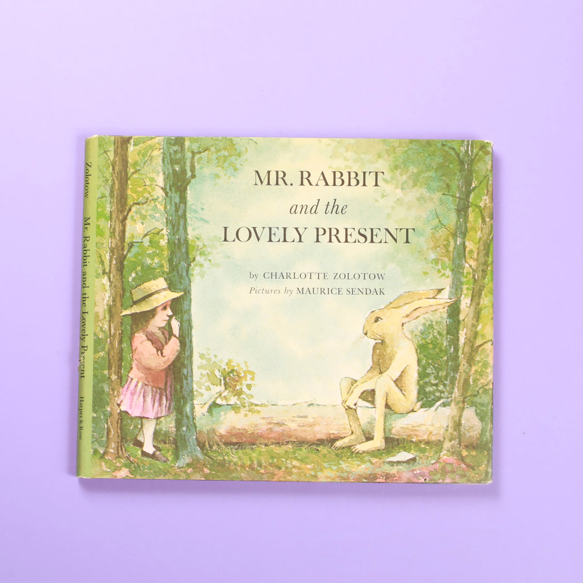 Mr. Rabbit and the Lovely Present