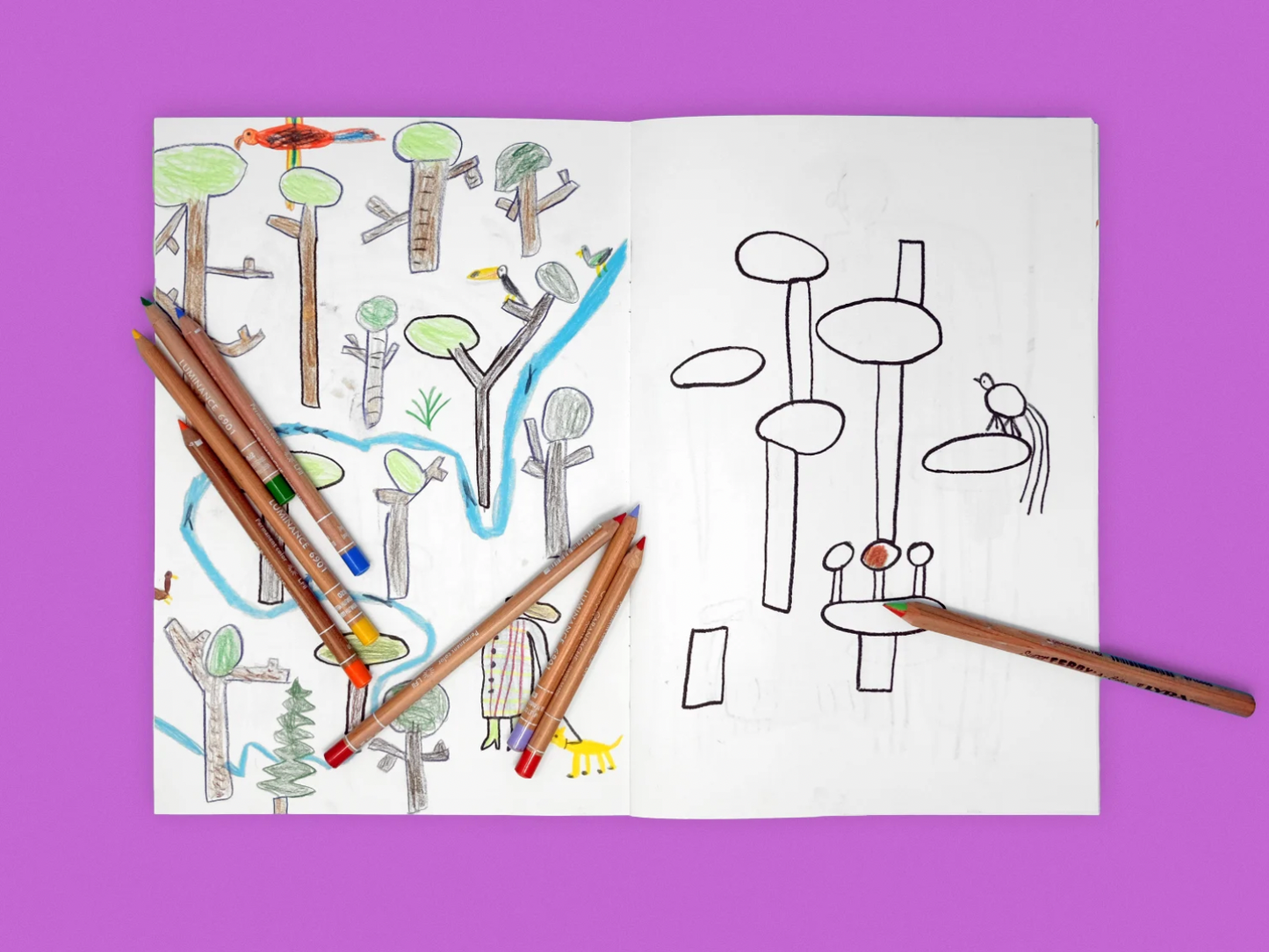 Artist Coloring Book: Ruben Ramires