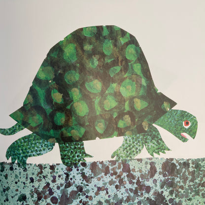 The Foolish Tortoise