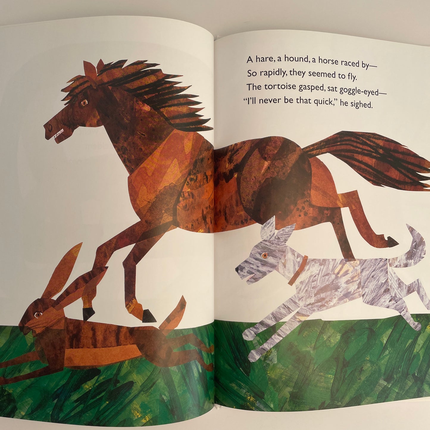 The Foolish Tortoise