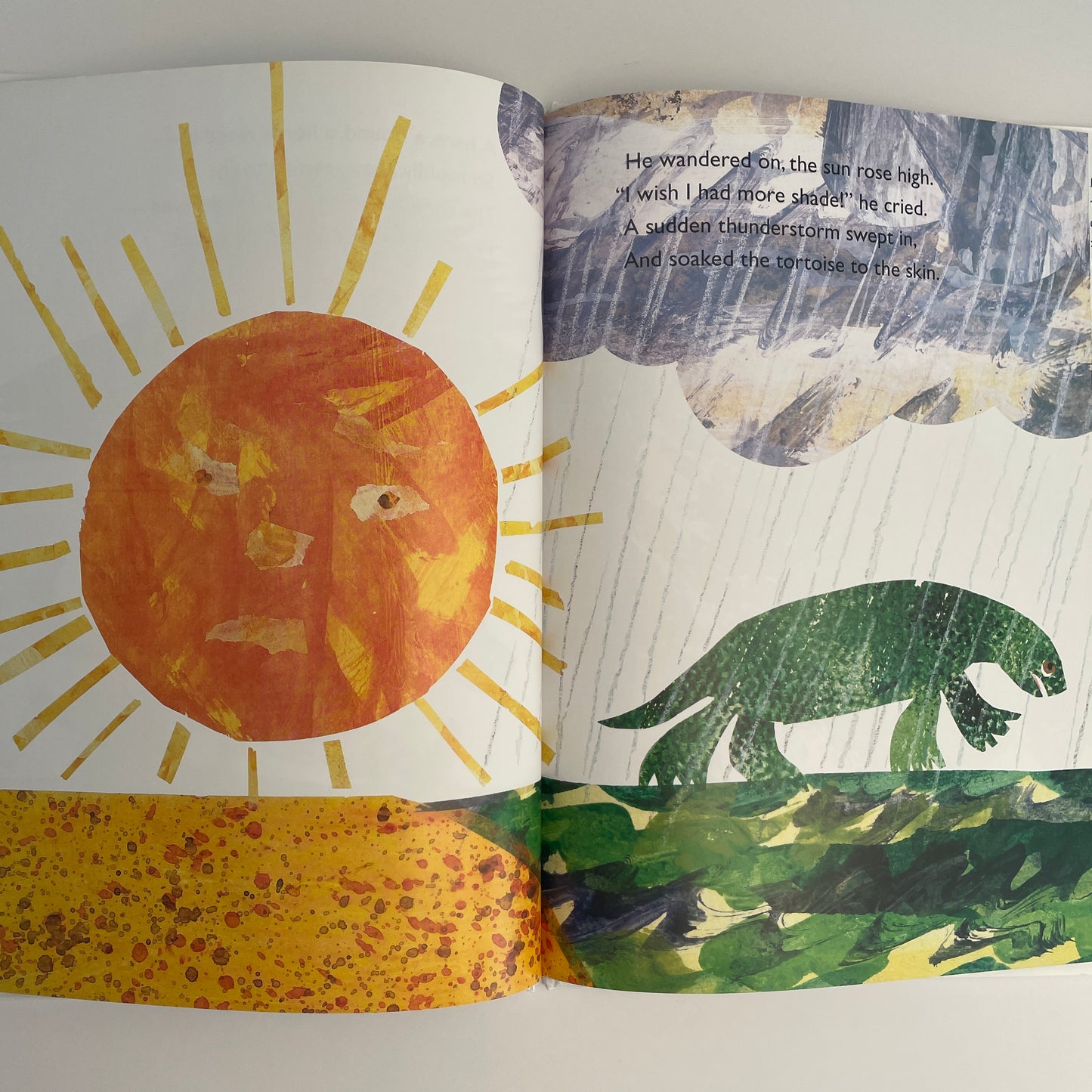 The Foolish Tortoise