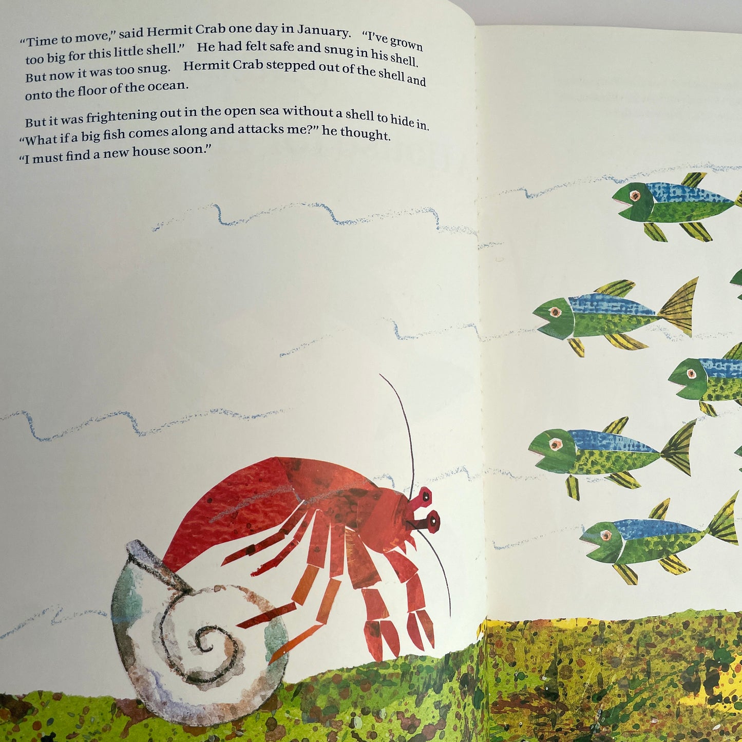 A House for Hermit Crab