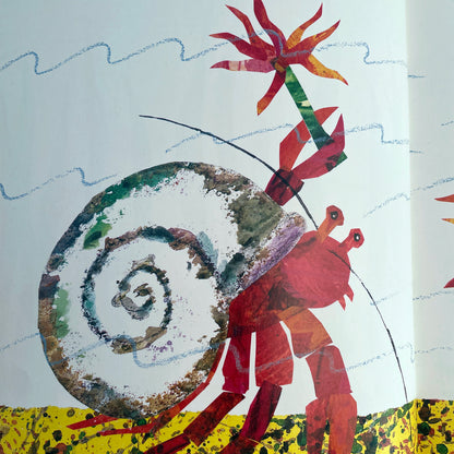 A House for Hermit Crab