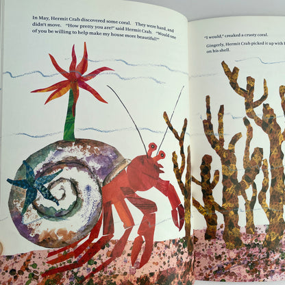 A House for Hermit Crab