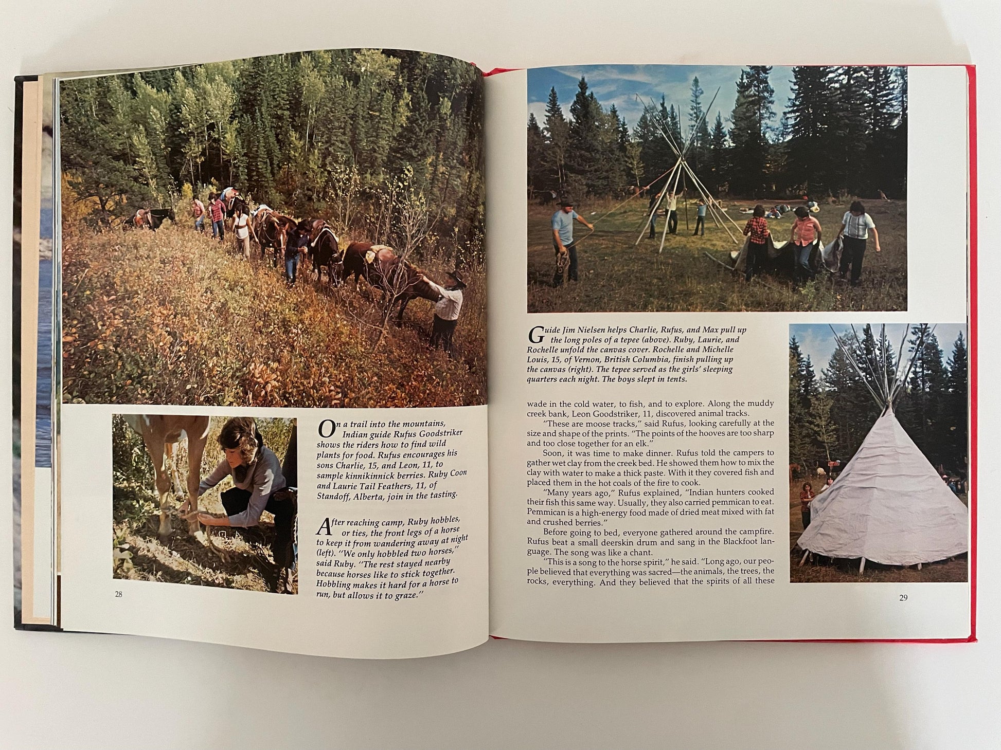 Wilderness Challenge: National Geographic Society Books for World Explorers, 1980