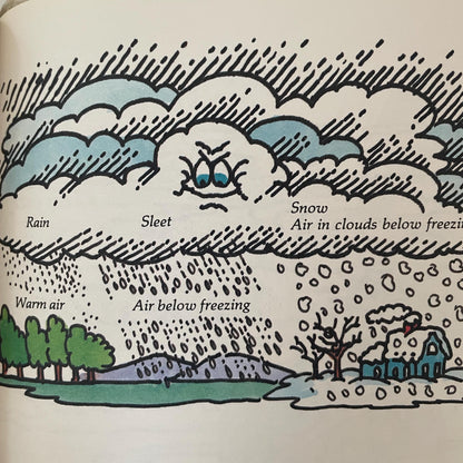 Weather by Louis Sabin, illustrated by Joseph Veno