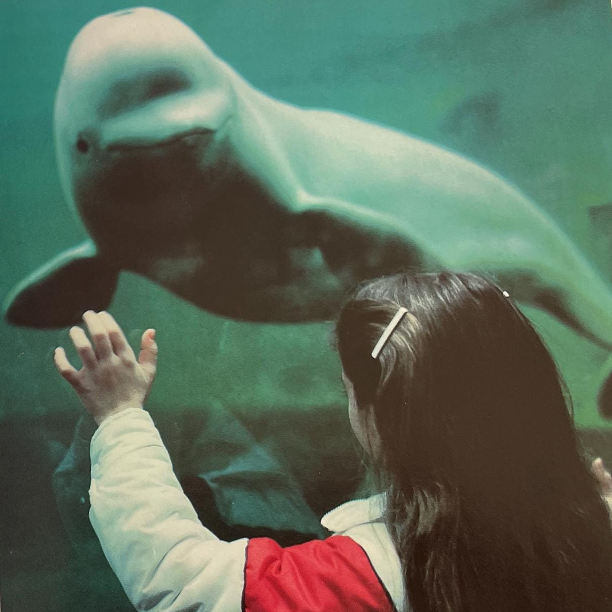 Zoos Without Cages by Judith E. Rinard, National Geographic Books for World Explorers Series