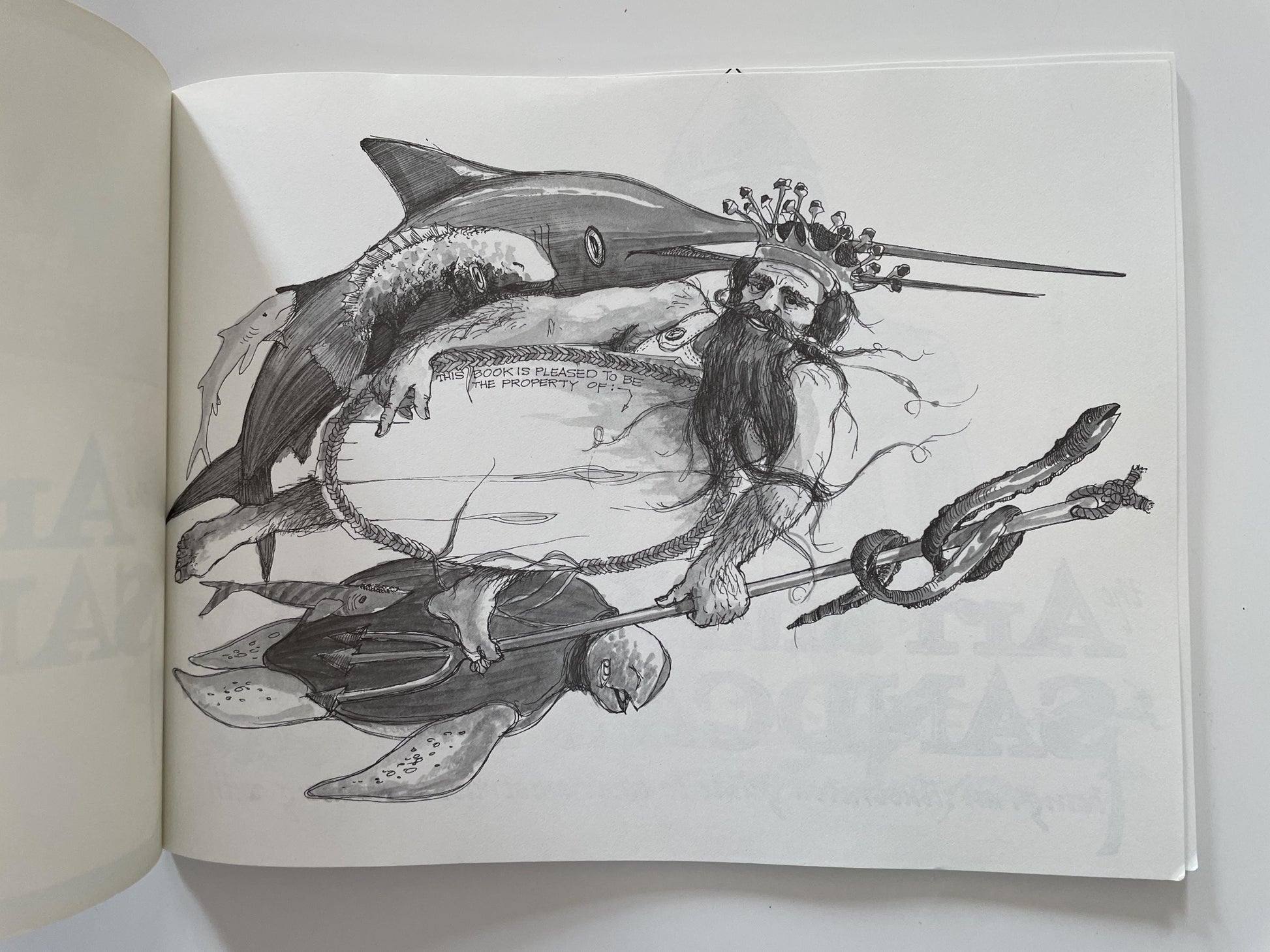 The Art and Industry of Sandcastles, illustrated by Jan Adkins