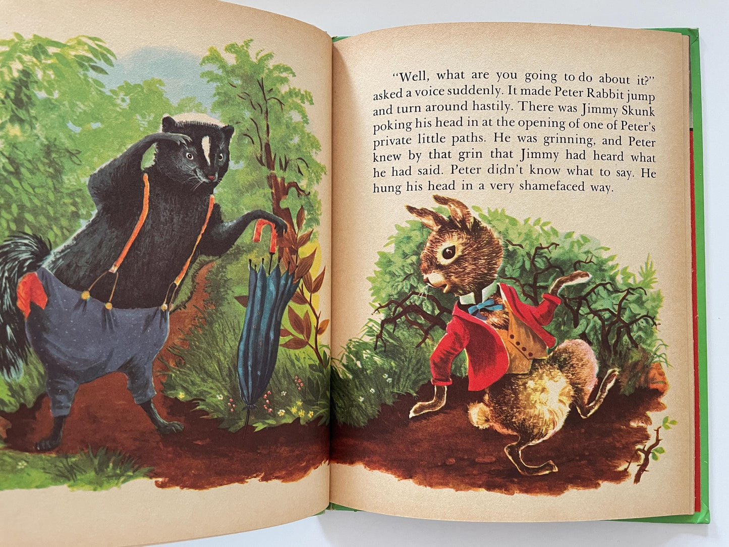 How Peter Cottontail Got His Name by Thornton Burgess