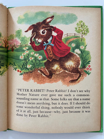 How Peter Cottontail Got His Name by Thornton Burgess