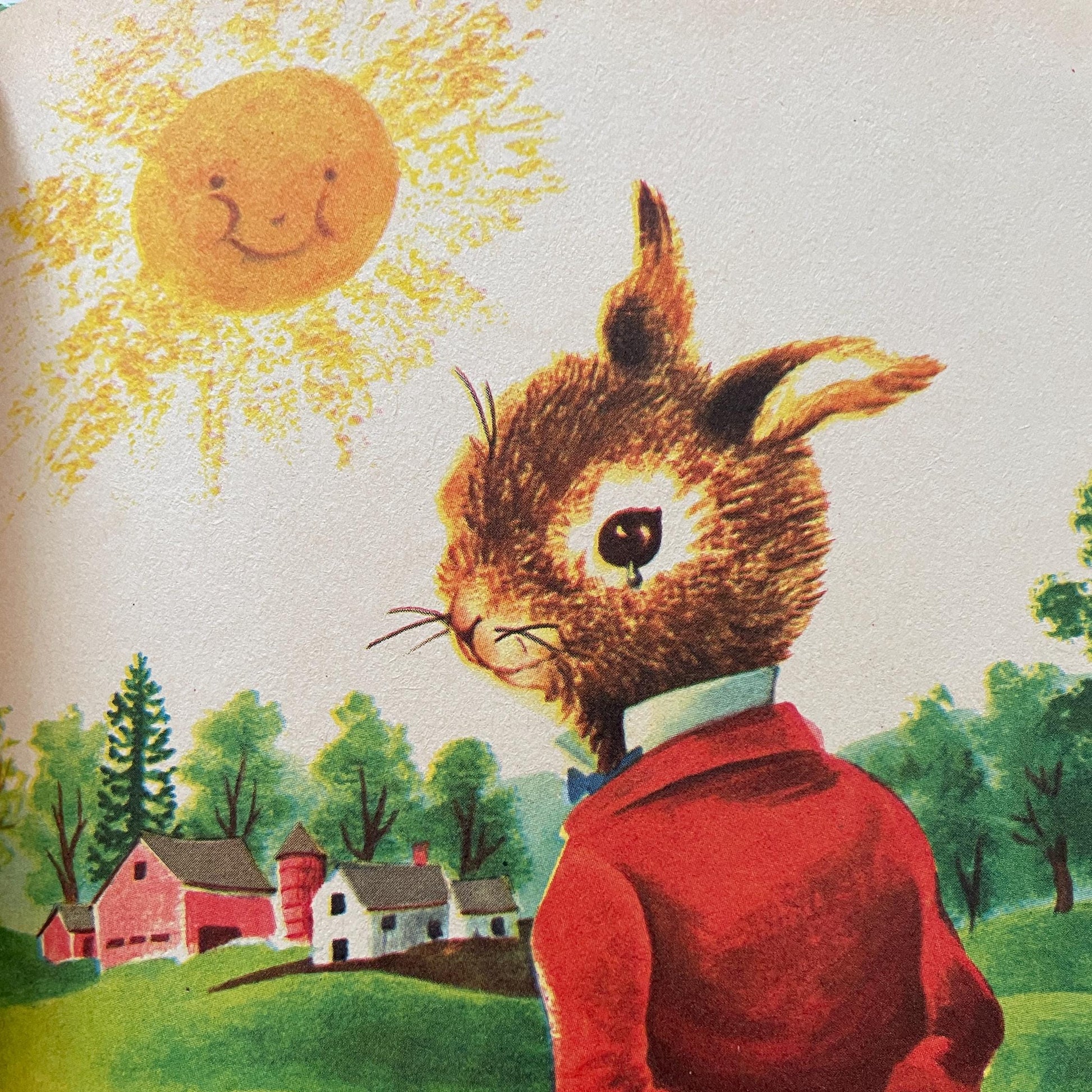 How Peter Cottontail Got His Name by Thornton Burgess