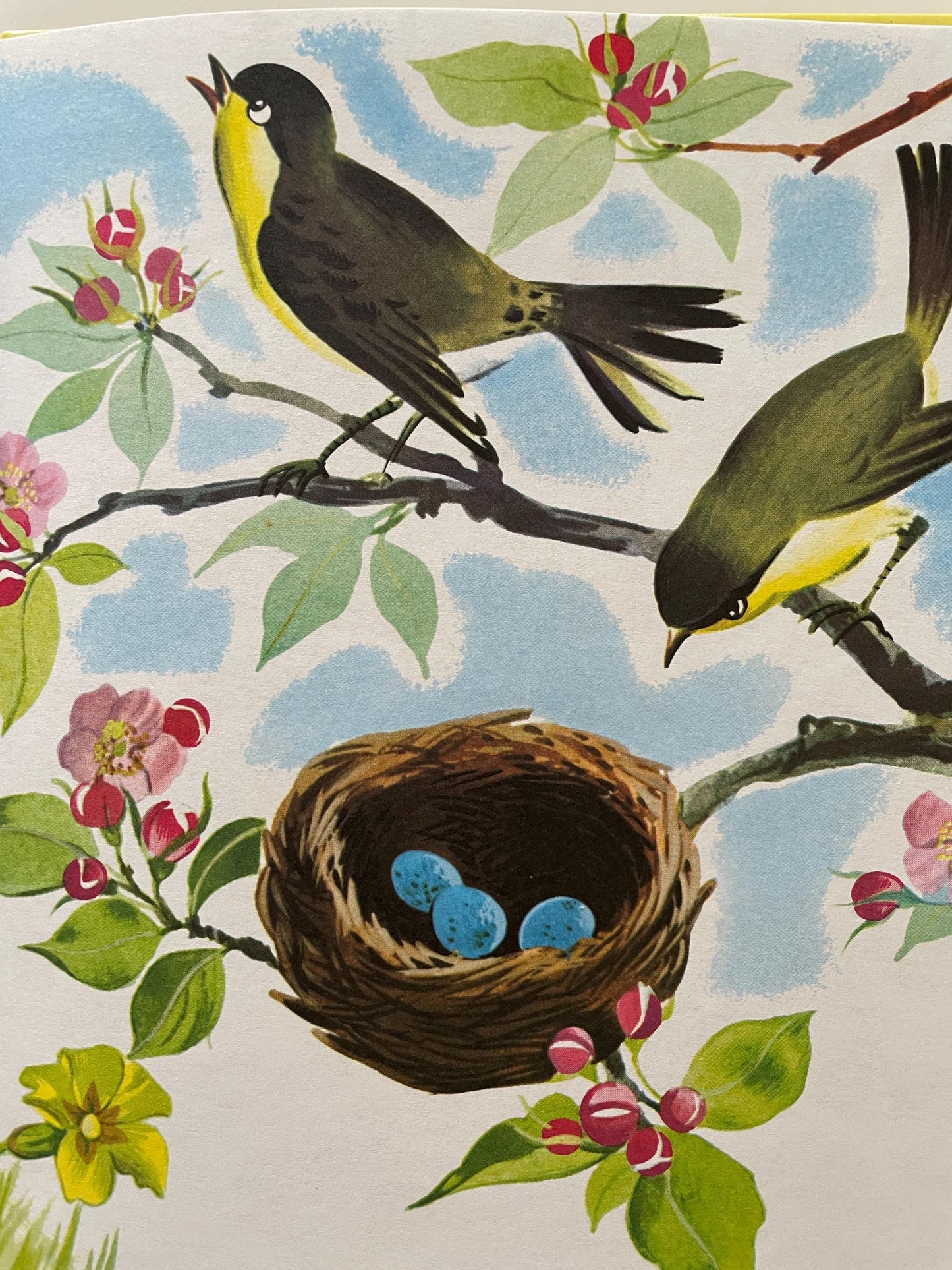 The Happy Rabbit by Patricia Barton