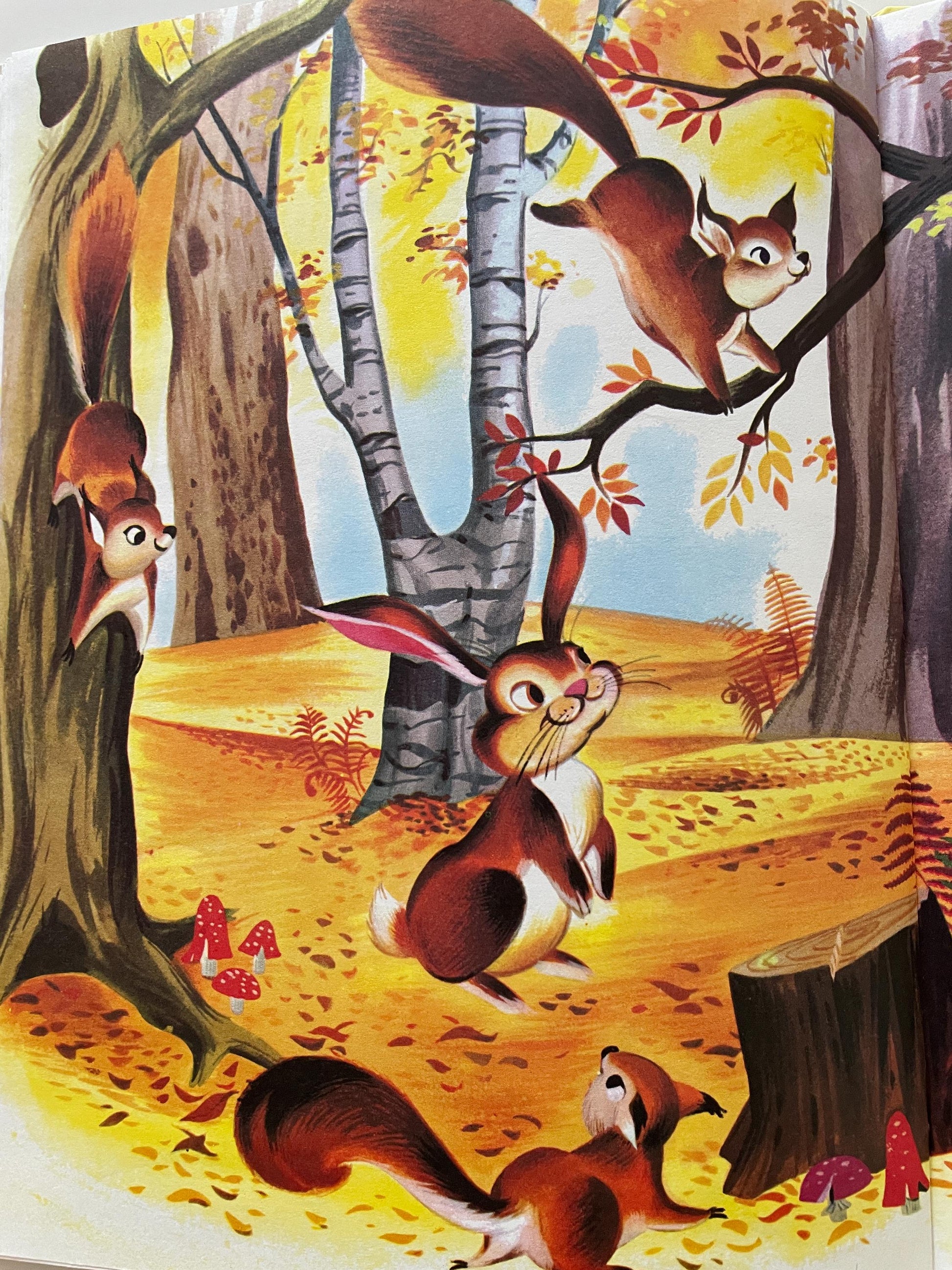 The Happy Rabbit by Patricia Barton